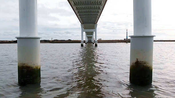 Maintenance of bridge piles in rivers